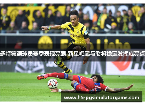 多特蒙德球员赛季表现亮眼 新星崛起与老将稳定发挥成亮点