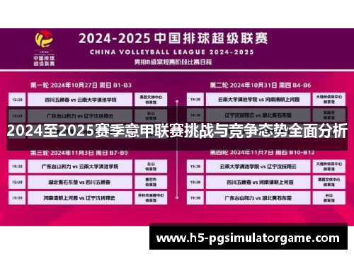 2024至2025赛季意甲联赛挑战与竞争态势全面分析