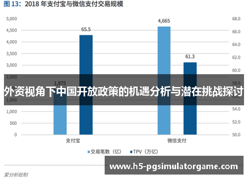 外资视角下中国开放政策的机遇分析与潜在挑战探讨
