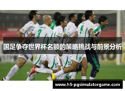 国足争夺世界杯名额的策略挑战与前景分析