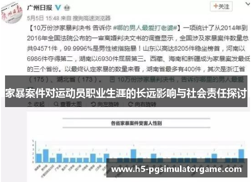 家暴案件对运动员职业生涯的长远影响与社会责任探讨