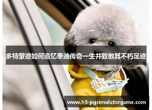 多特蒙德如何追忆泰迪传奇一生并致敬其不朽足迹