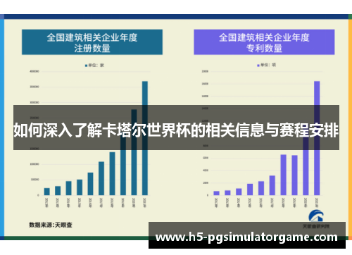如何深入了解卡塔尔世界杯的相关信息与赛程安排