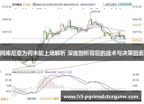 阿库尼亚为何未能上场解析 深度剖析背后的战术与决策因素