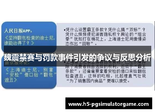 魏震禁赛与罚款事件引发的争议与反思分析