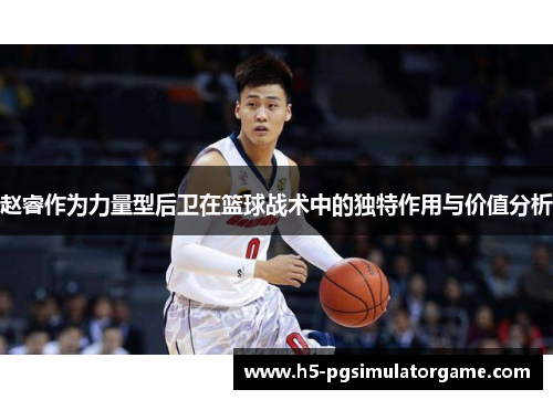 赵睿作为力量型后卫在篮球战术中的独特作用与价值分析