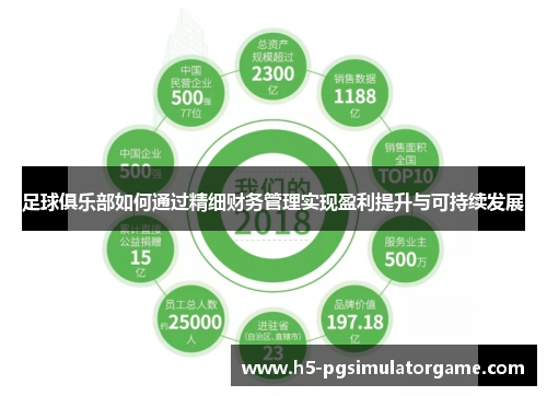 足球俱乐部如何通过精细财务管理实现盈利提升与可持续发展