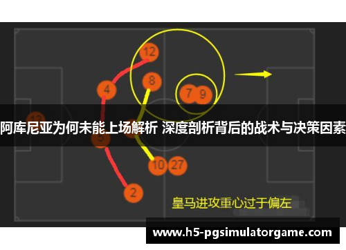 阿库尼亚为何未能上场解析 深度剖析背后的战术与决策因素