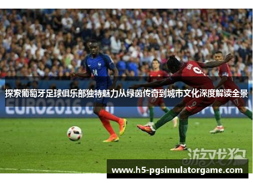 探索葡萄牙足球俱乐部独特魅力从绿茵传奇到城市文化深度解读全景