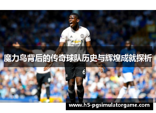 魔力鸟背后的传奇球队历史与辉煌成就探析