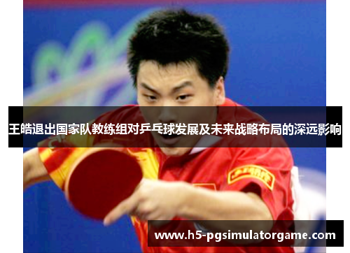 王皓退出国家队教练组对乒乓球发展及未来战略布局的深远影响
