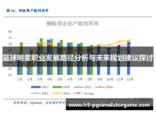 篮球明星职业发展路径分析与未来规划建议探讨