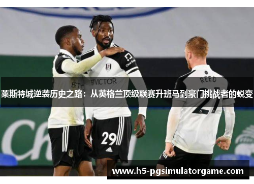 莱斯特城逆袭历史之路：从英格兰顶级联赛升班马到豪门挑战者的蜕变